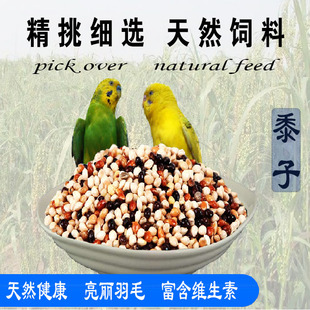 当年新产黍子虎皮鹦鹉鸟食麻雀鸟饲料玉鸟食料文鸟粮食喂野生鸟饭