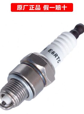 宗申手提式发电机24V车载增程器通用火花塞火嘴配件E5T/E6RTC