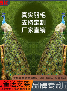 羽毛手工仿真孔雀摆件开屏孔雀标本家居客厅田园林橱窗落地装饰品