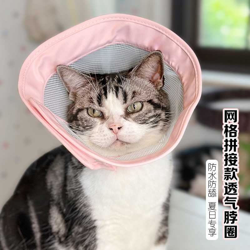 猫咪伊丽莎白圈柔软防舔夏天幼猫脖套透气网格防水可吃饭防咬头套 - 实物图