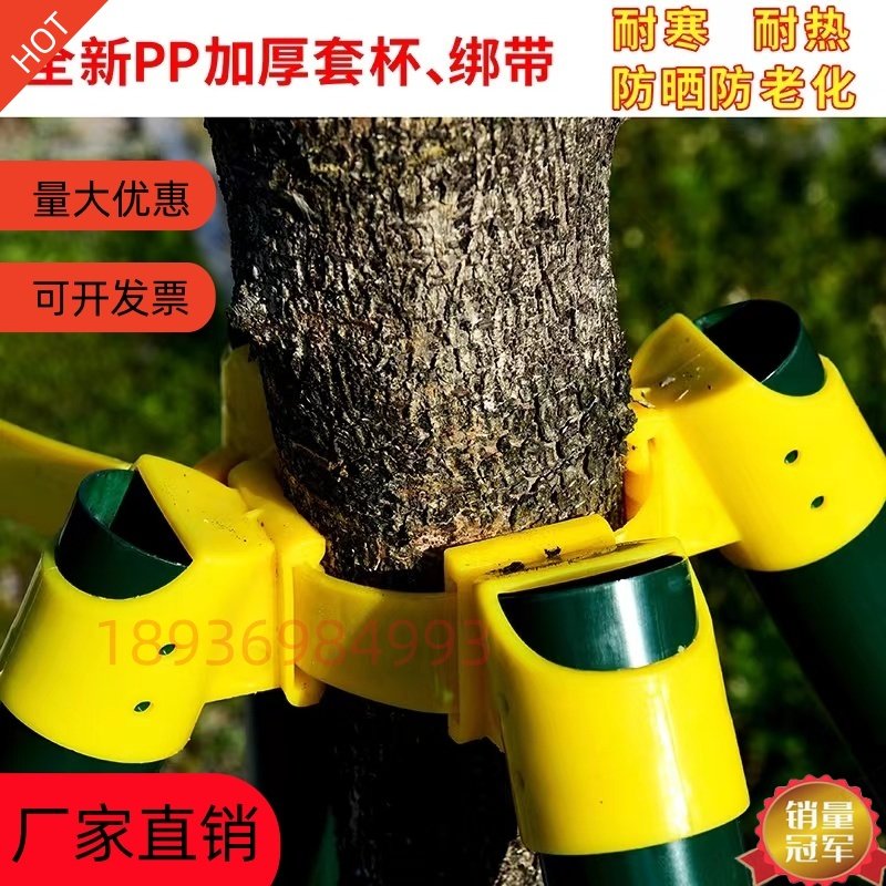 树木支撑架钢管固定器行道大树支撑杆乔木防风园林烤漆镀锌树支撑
