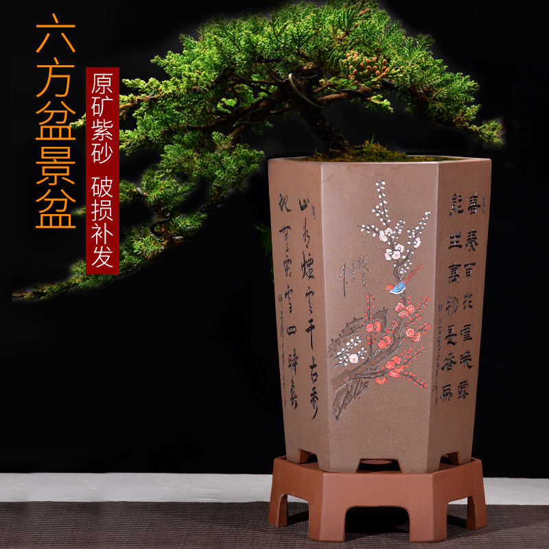 精品紫砂花盆四方六方梅花君子兰客厅高档精品手工点彩陶瓷盆景盆