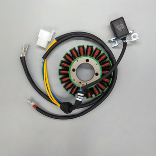 电喷国四适用CG125/150骑士机车磁电机发电12/18级点火线圈配件