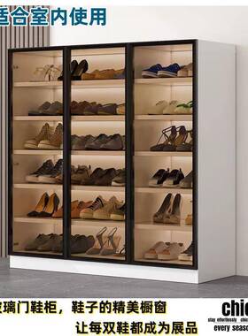 家用门口大容带量锁鞋走柜厅室内收纳玻璃NSG门靴橱阳台道储物可