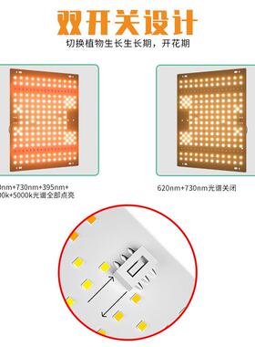 全光谱植物生莓长补光灯仿阳太光室BCT内种植灯草蔬菜花卉绿水培