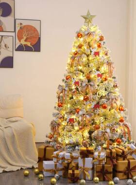 1白色圣诞树家用套餐1.5/1.8/2.XTH诞/米4加密植绒落雪圣节场3景