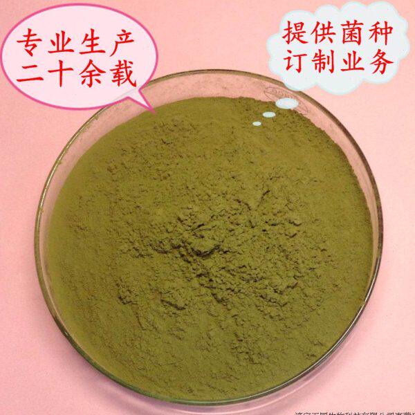 甜面酱豆豉豆瓣酱米曲霉 大酱面酱发酵用曲种制曲用菌曲菌剂 包邮