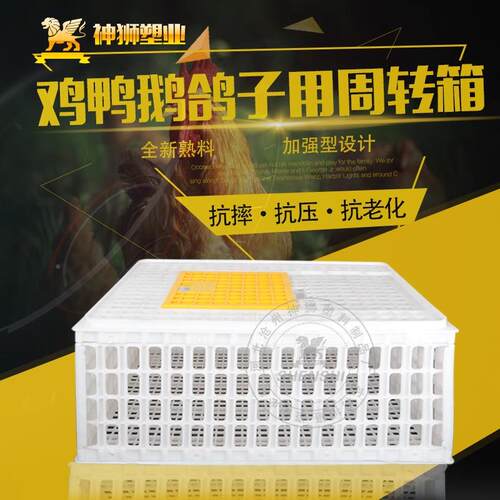料鸡笼运输筐准转加标厚加强塑型成鸡鸭笼鸽笼家用周GZL运输笼