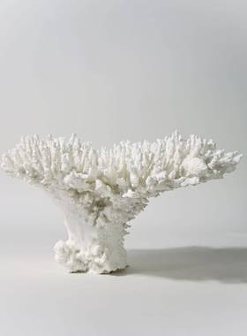 真现代约极样简几GT-A094何仿珊瑚树脂摆件板简间售楼处装饰艺术