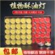 容事牌酥油灯整箱家用纯植物提炼供佛专用茶蜡4小时100粒蜡烛