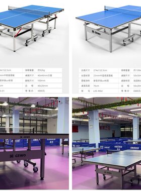 德国捷沃杰沃球台GEWO专业标准球台乒乓球室内专用比赛台球馆俱乐