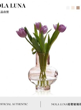 MOLA.Dense.粉色磨砂玻璃花瓶摆件创意客厅餐桌装饰花器丨苏密