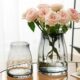 高级感轻奢玻璃花瓶摆件客厅大口径餐桌插花透明水养鲜花玫瑰花瓶