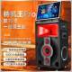 户外家庭ktv声音套装 全套K显歌广场响舞大默认项音量跳舞立体带示
