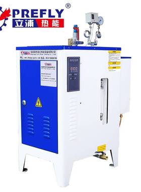 kw全自动蒸汽发生器LDR0.004-0.4服装厂电锅炉熨烫设备