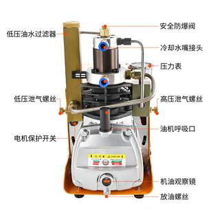 DID快EEP潜水型30275呼吸专用上汽无异味高压电动打气机40Ma小充p