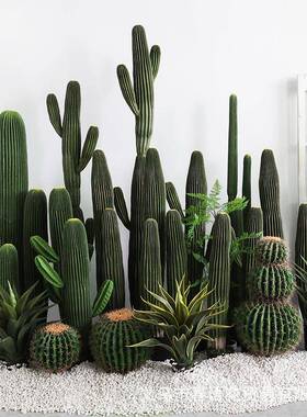 仿真龙凤柱人QHH掌大型盆栽假仙柱仙人热带漠沙绿植软装橱窗布置