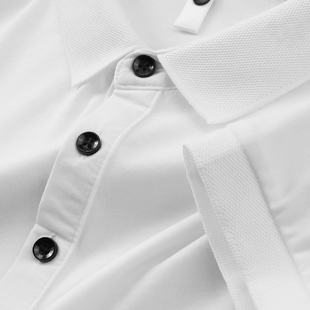 花花公子2026年天蚕丝冰丝T恤男短袖翻领上衣polo衫商务休闲纯色