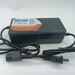 踏浪电动车充电器全新国t标原装品质6灯电量显示充满自动断电