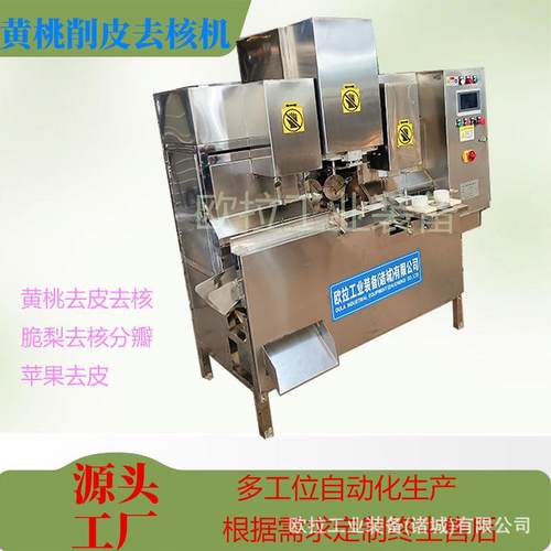 橙子全自动清洗上料削皮加工生产线  大型商用水果去核去皮机