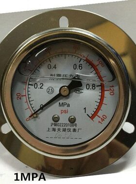 抗震轴向带边耐震压力表 YN-60ZT 1MPA 140PSi YTN60ZT