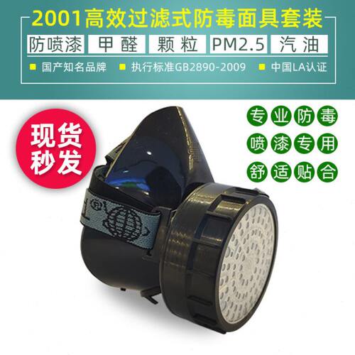 地球牌2001防毒口罩防喷漆化工农药气体装修打磨异味甲醛防护面罩