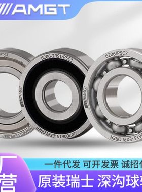 AMGT带卡槽深沟球轴承6315N 6316N 6317N 6318N 6319N   2RZN 2ZN