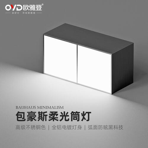 2026新款极简风斗胆灯现代客厅包豪斯超薄明装筒灯单双头无主射灯
