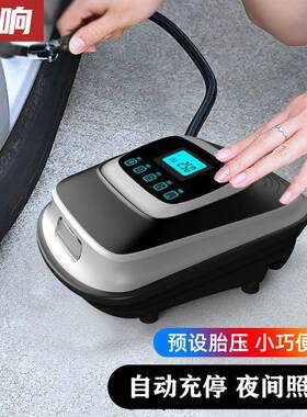 车载充气泵12V汽车轿车电动车胎轮57867打小便气泵小型大功率携打