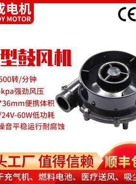 气12/24V424包邮直流进气风机鼓充机用离心抽鼓风机