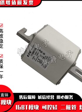 170M5108 170M5109 170M5110 170M5111 170M5112熔断器170M5113