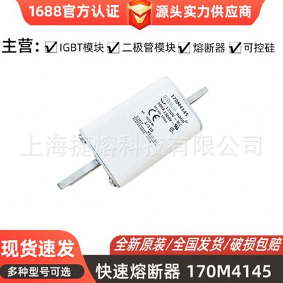 170M4145 170M4146 170M4194低压熔断器 电子元器件全新现货直发