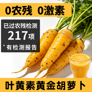 【无农残无激素】新鲜黄萝卜生吃水果胡萝卜新疆手抓饭口味农家种