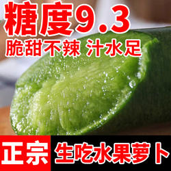 正宗山东潍坊水果萝卜生吃脆甜潍县现拔青萝卜冰激凌凤梨沙窝萝卜