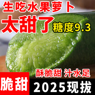 山东特产潍坊正宗水果萝卜生吃潍县青萝卜冰激凌沙窝天星萝卜新鲜