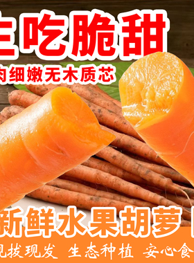 正宗水果胡萝卜新鲜生吃潍县青萝卜紫色黄色沙窝天星潍坊萝卜现拔