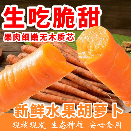 正宗水果胡萝卜新鲜生吃潍县青萝卜紫色黄色沙窝天星潍坊萝卜现拔