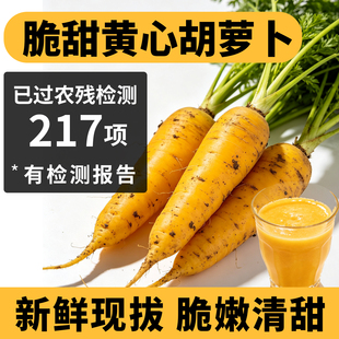 【已过农残检测】新鲜黄萝卜生吃水果胡萝卜新疆手抓饭口味农家种