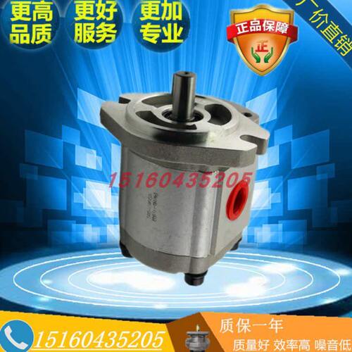 KOMPASS康百世齿轮泵P109RP01GT P107RP01GT  P104 P105 P106 102