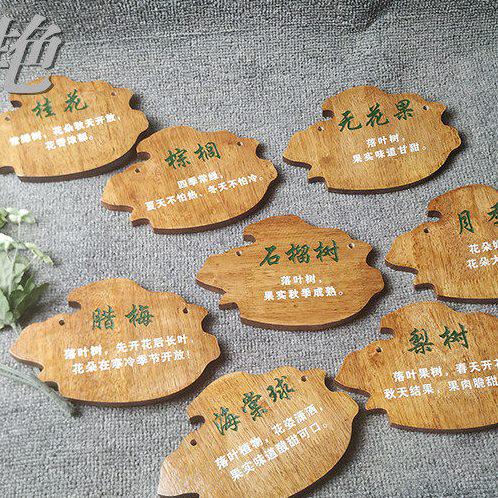 木质材料树上挂牌花草提示牌绿化标识牌指示牌介绍挂牌树牌植物牌