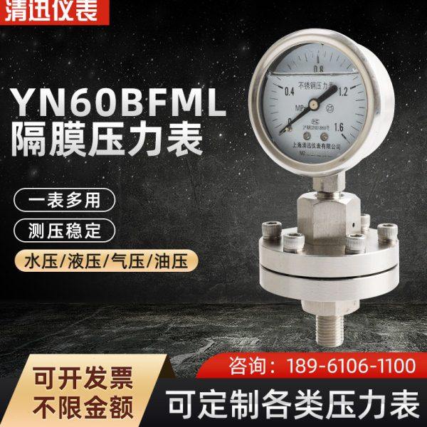 YN60BFML螺纹对夹式防腐蚀隔膜压力表316L膜片整体不锈钢0-1.6MPA,五金/工具,压力表,淘宝优惠券,粉丝福利购,淘宝优惠卷