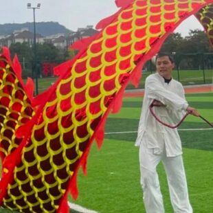 甩龙单人空竹龙灯立体龙头彩带彩带龙老人健身舞龙广场舞龙彩带龙