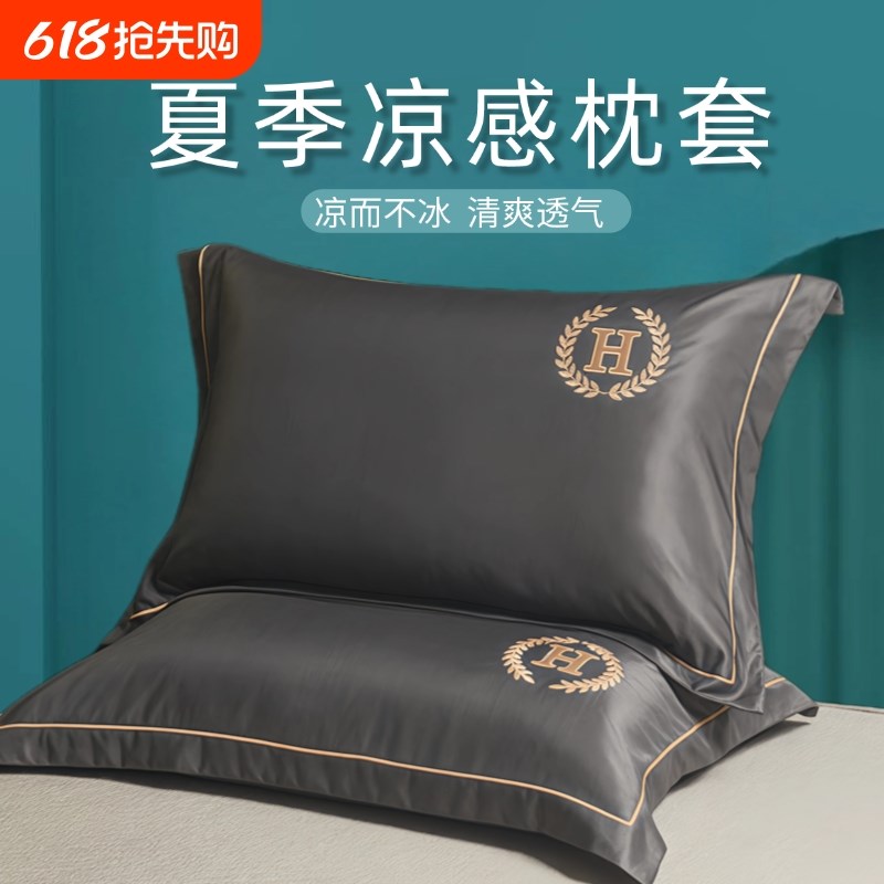 夏季水洗凉感丝i枕套单人48x74一对装2024新款内胆夏套凉爽