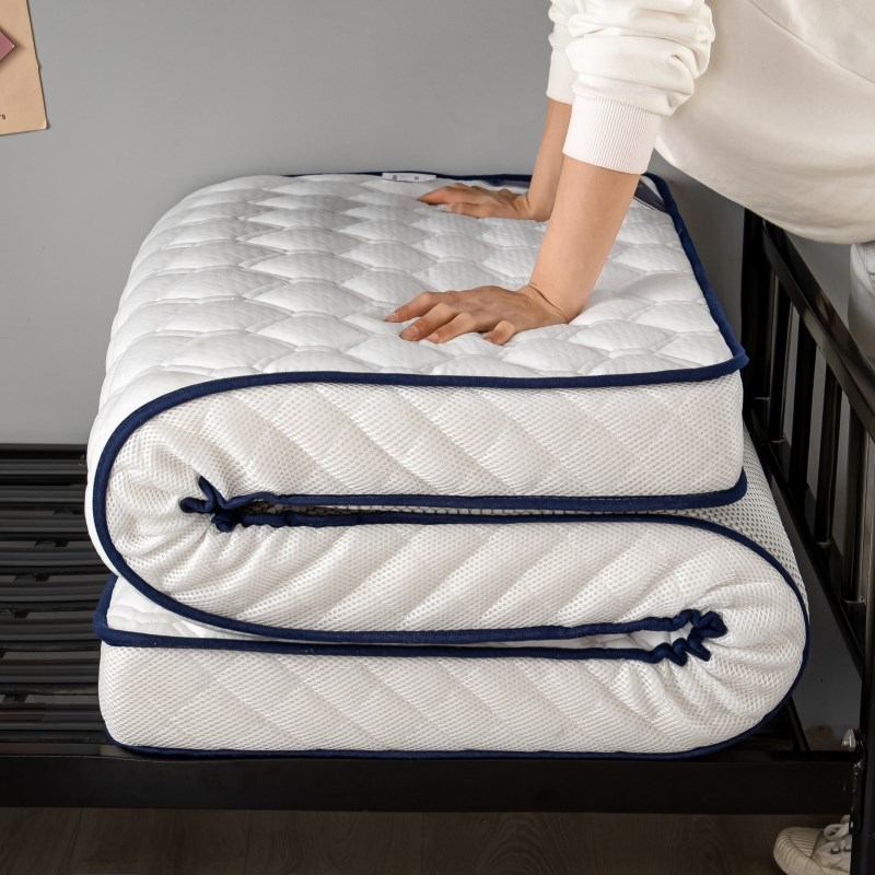 床垫软垫c家用加厚宿舍单人榻榻米垫子褥子