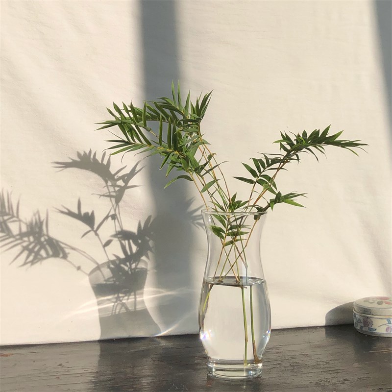 欧洲订单尾货美国利比玻璃花瓶餐K厅桌面陈设花器水培瓶