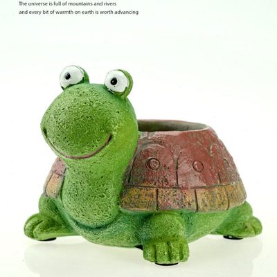 就一分钟！创意呆呆乌龟多肉花盆家居阳台花园装饰创意生日礼物