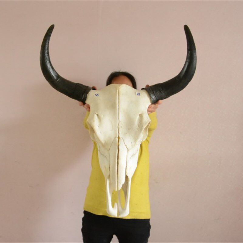 牛头骨工艺品牦牛头骨n装饰品真牛羊头骨标本55cm特色手工演出道