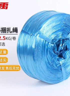 冰禹工业塑料捆扎绳塑料扎绳打包带打包绳扎丝线蓝色4cm2.5KG/卷B
