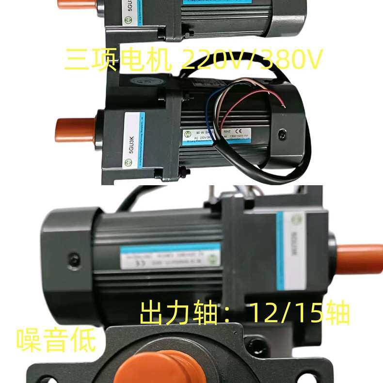 成钢电机 微型减速电机 上海减速电机 2IK6GN-C/2GN15K感应式电