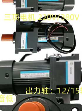 成钢电机  微型减速电机 上海减速电机 2IK6GN-C/2GN15K感应式电